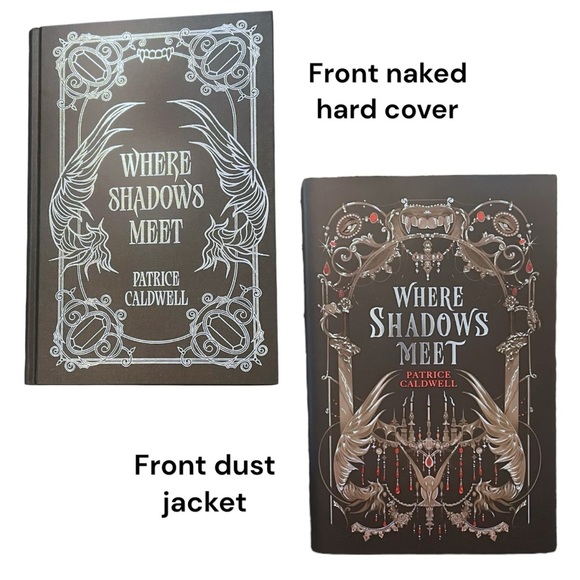 Fairyloot Full March 2025 Eternal Embrace Subscription Box - Picture 4 of 14